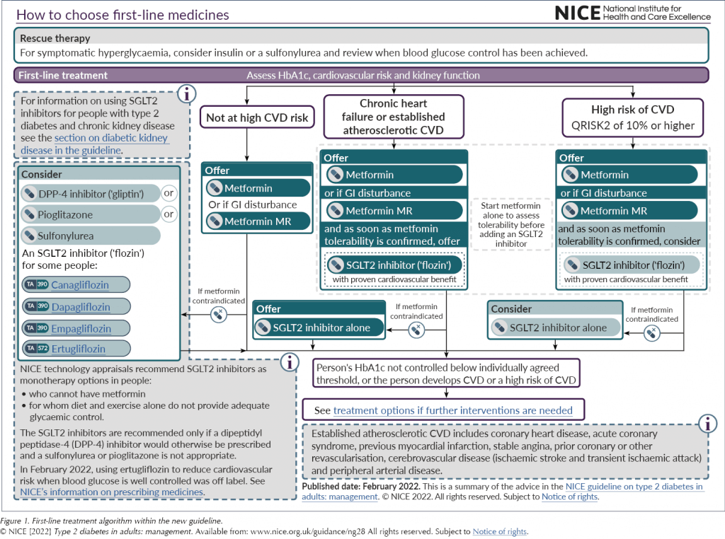 NICE Type 2 Diabetes Management Guidance What S New DiabetesontheNet   4 Down NG28 Figure1 1024x762 