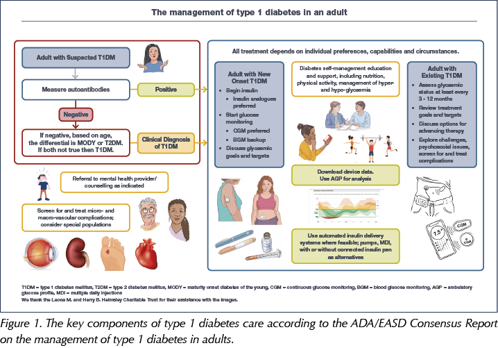 New ADA/EASD guidance on type 1 diabetes management: News from the