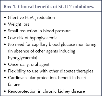 Why a large hip circumference protects from type 2 diabetes and  cardiovascular disease