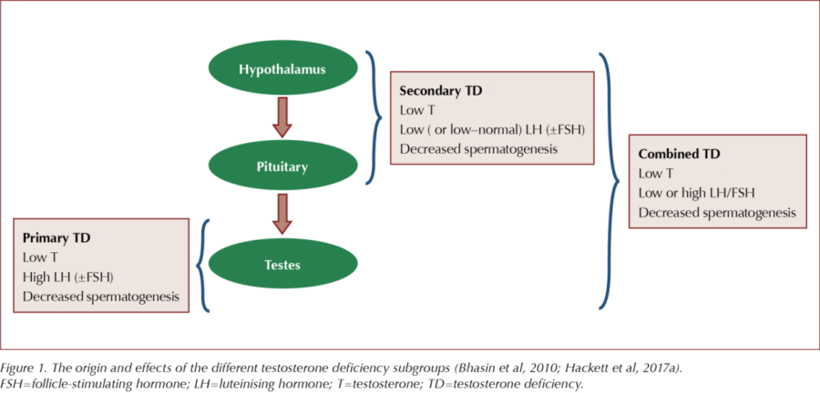 Testosterone deficiency Based on the BSSM guidelines 2017