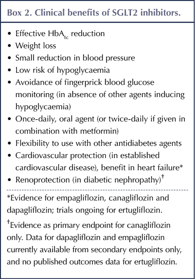 Why a large hip circumference protects from type 2 diabetes and  cardiovascular disease